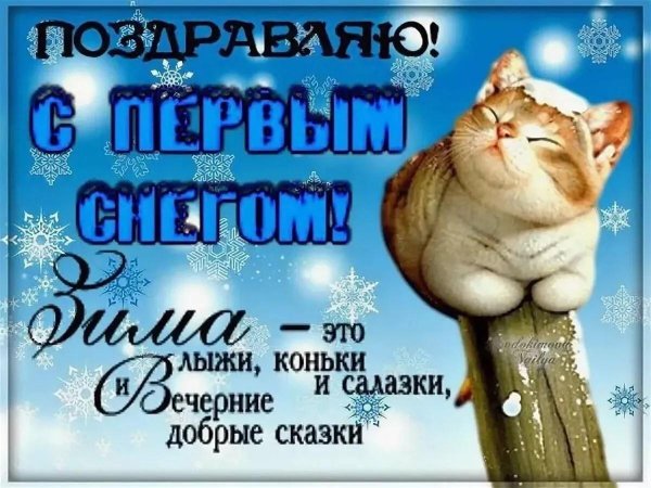 с первым снегом открытка