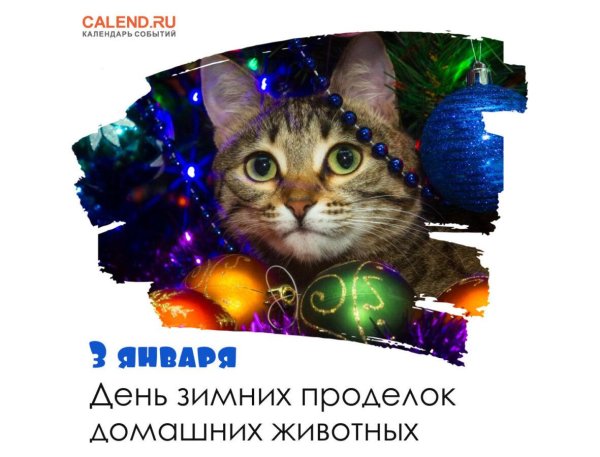 3 марта народный календарь