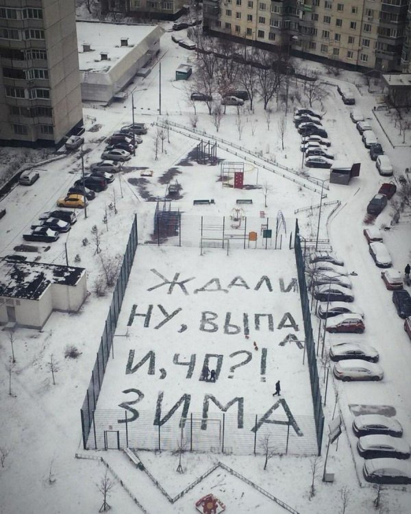 юмор надпись