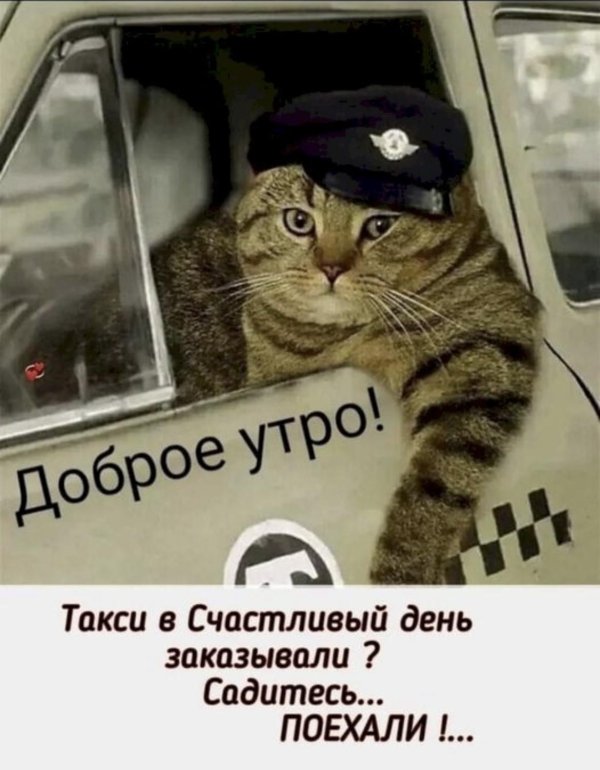 доброе утро таксисты