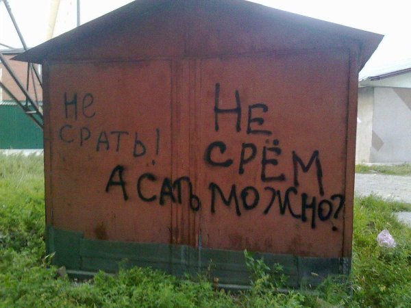 не срал