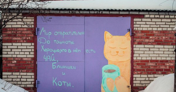 теплые коты