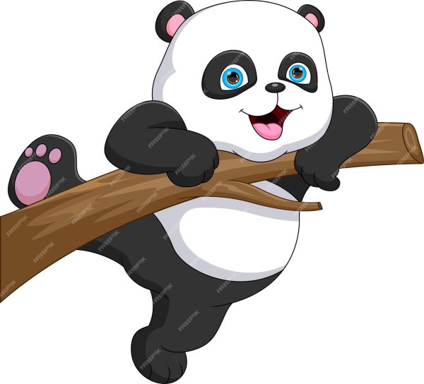 панды мультяшные