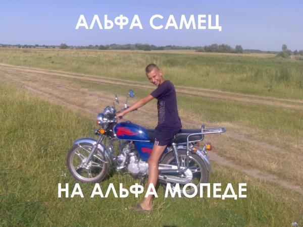 мопеда альфа