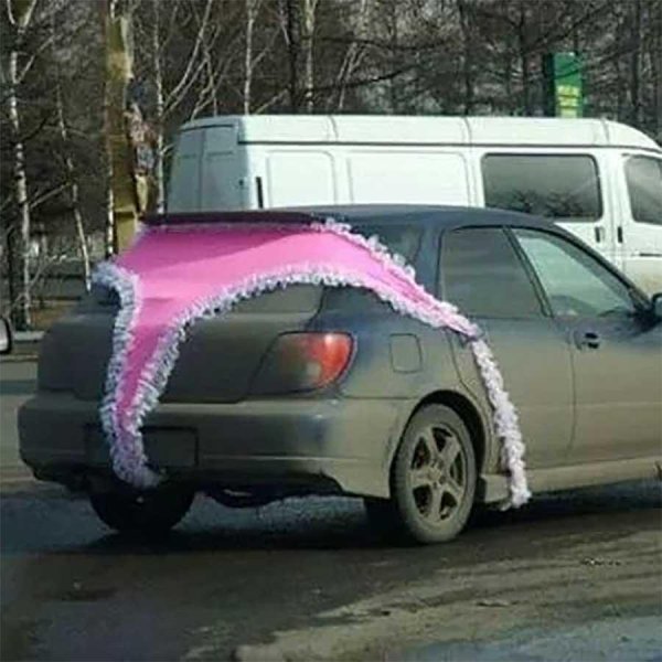 трусы на автомобиле