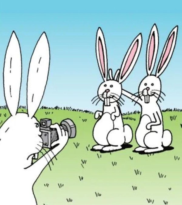зайцы смешные