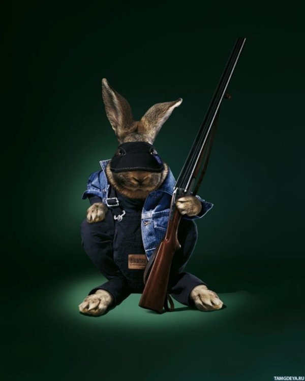 заяц с ружьем