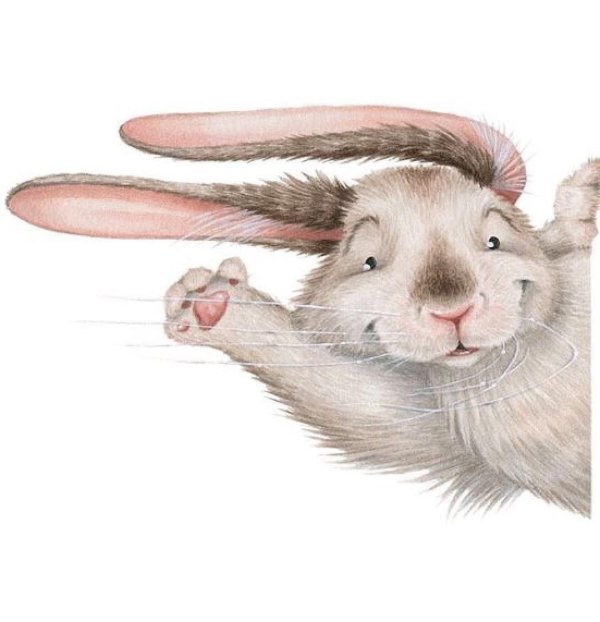 зайчик иллюстрация
