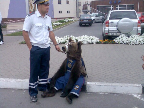 смешной полицейский