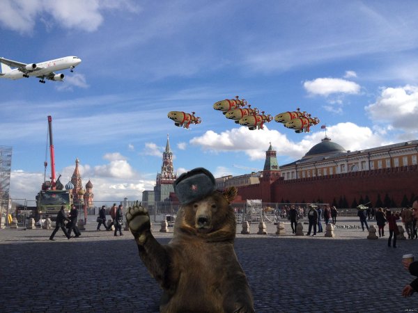 медведь на красной площади