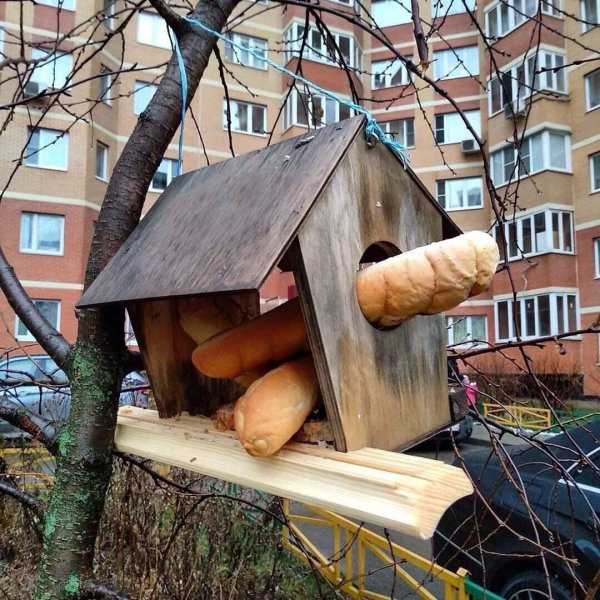 идеи кормушек для птиц