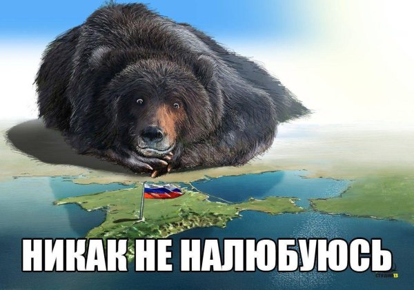 медведь русский