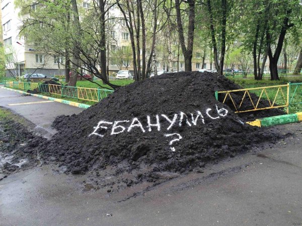 плодородный грунт