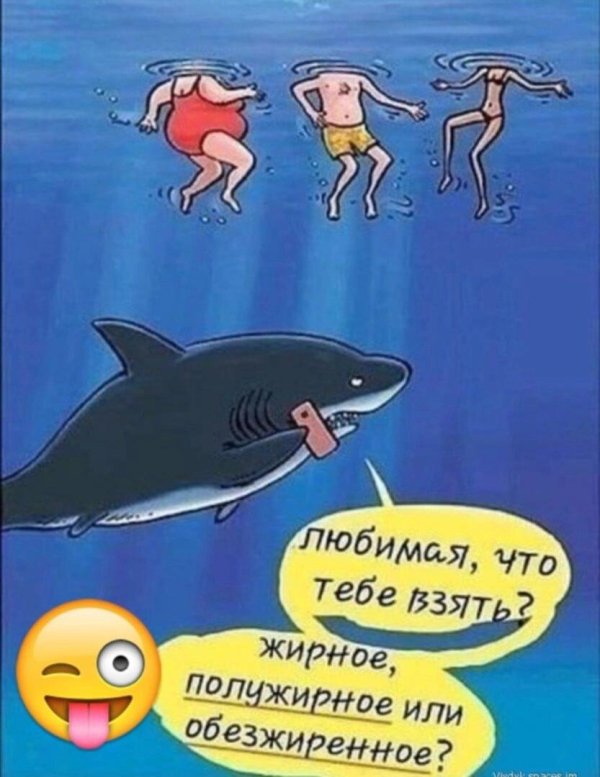 акула прикол