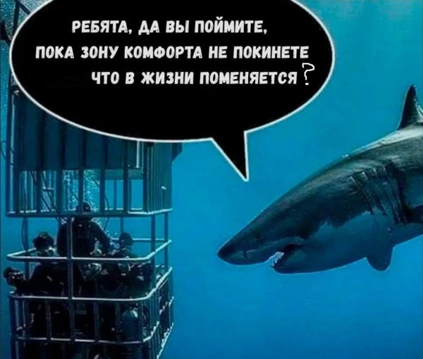 зона комфорта