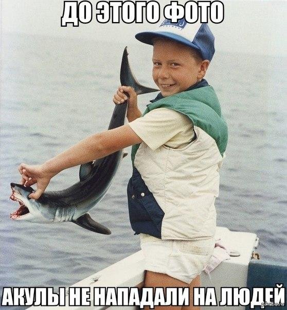 сельдевая акула