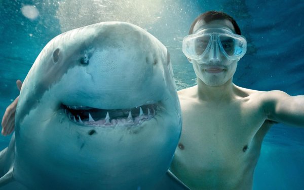 фильм открытое море монстр глубины