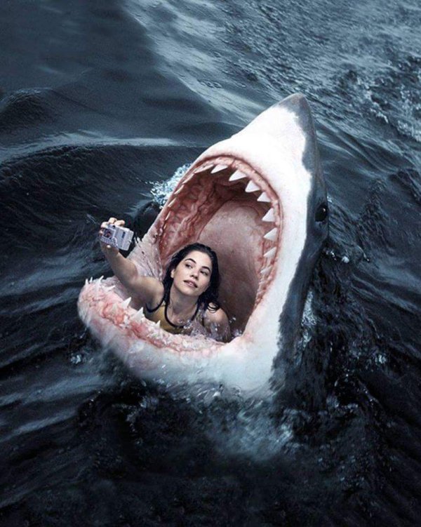 пасть акулы