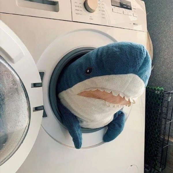 акула игрушка