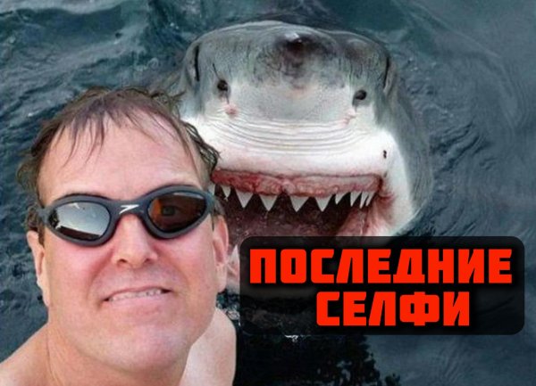 смешное селфи