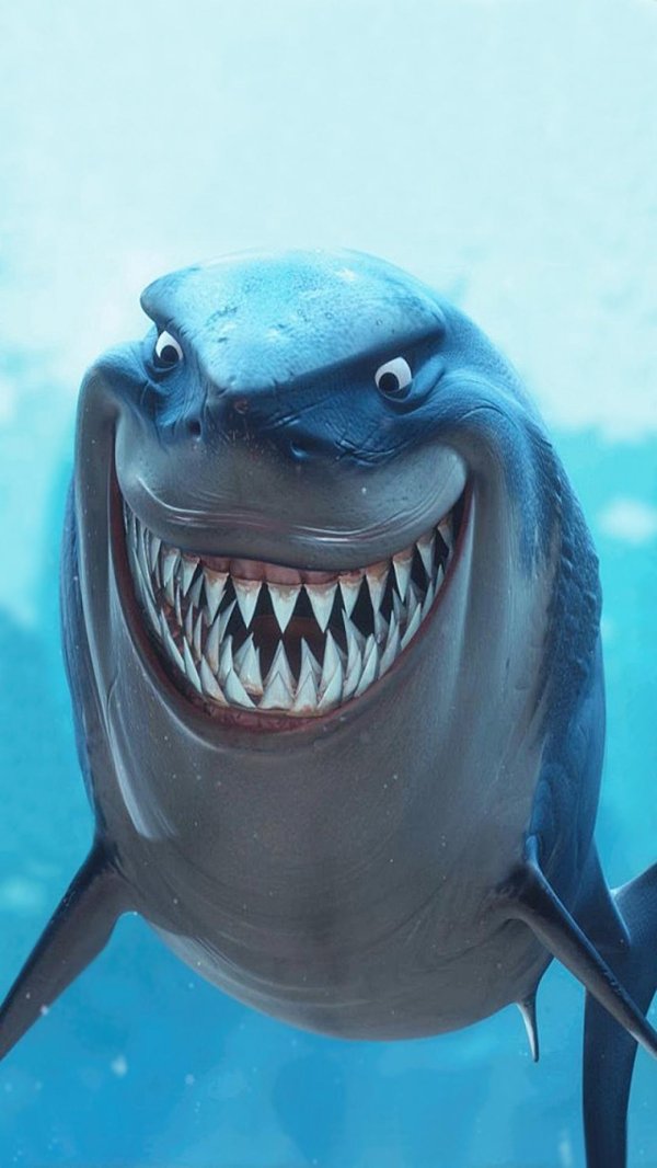 в поисках немо мультфильм 2003 акулы