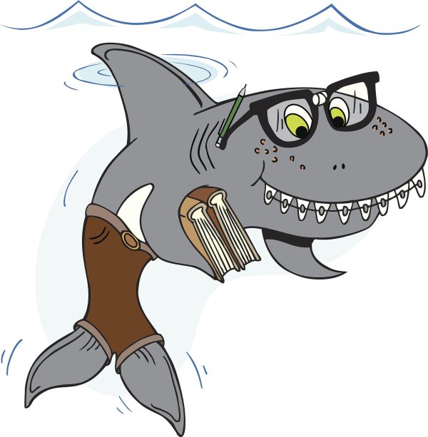 акула иллюстрация