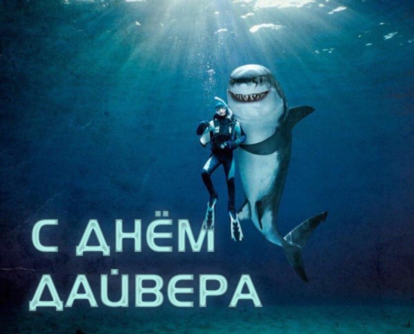 день дайвера