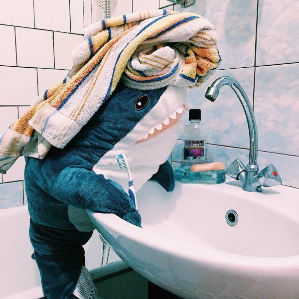 икеевская акула