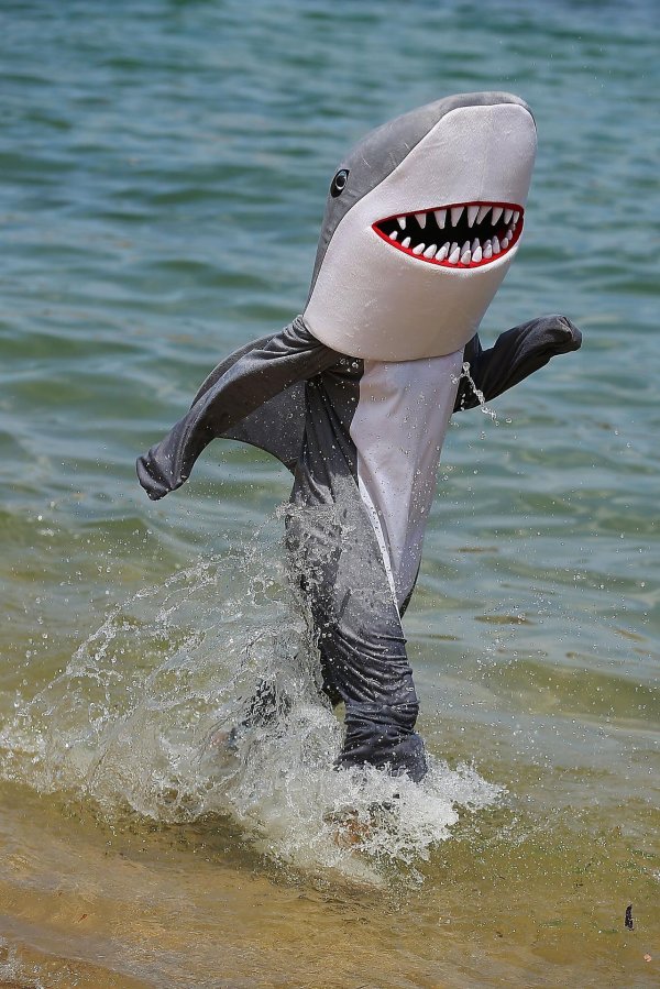 костюм акула