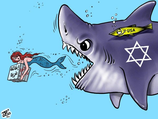 акула карикатура