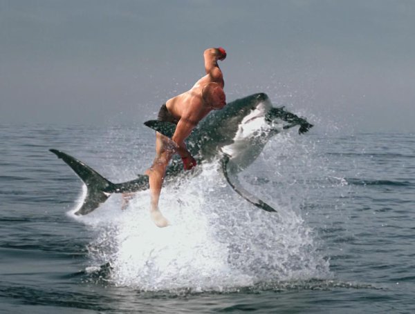 прыжок через акулу