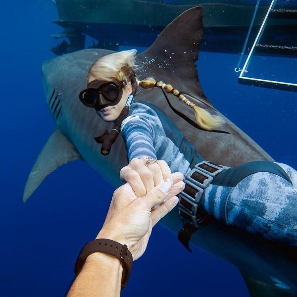 оушен рамси