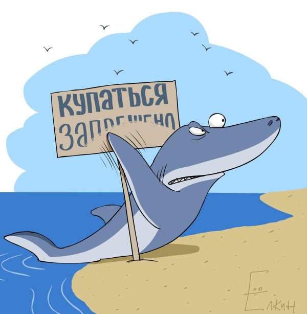 прикольная акула