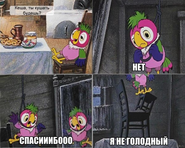 возвращение блудного попугая