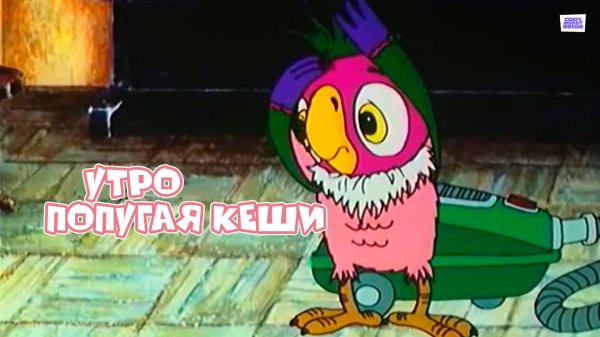 утро попугая кеши 2002