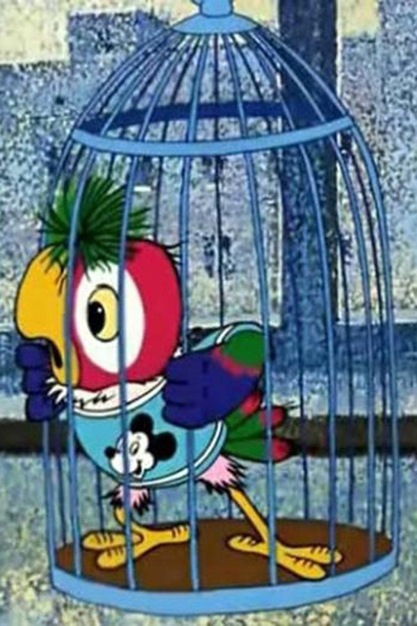 кеша в клетке свободу попугаям