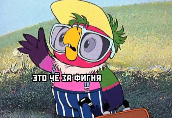 возвращение блудного попугая