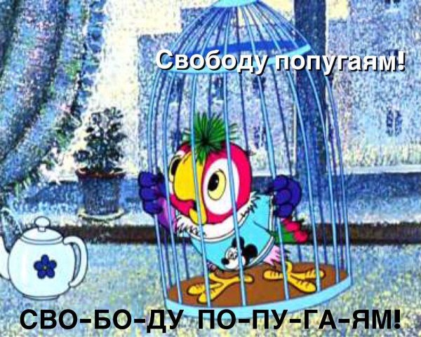 возвращение блудного попугая 3 серия