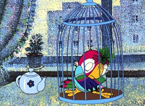кеша в клетке свободу попугаям