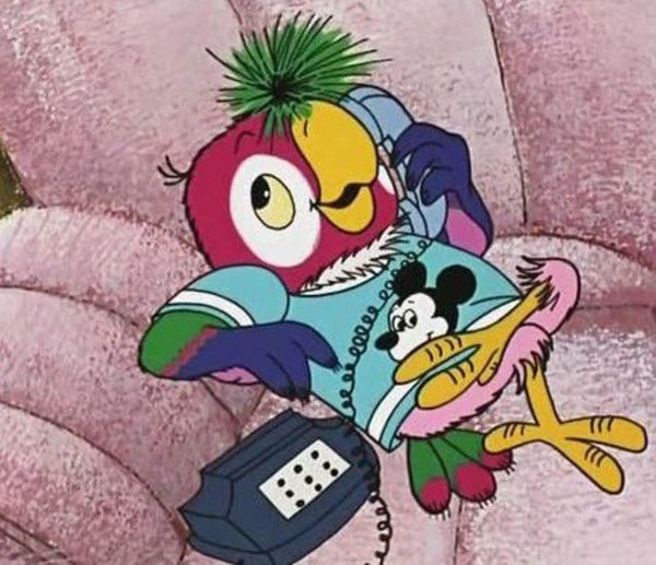 попугай кеша пью джус