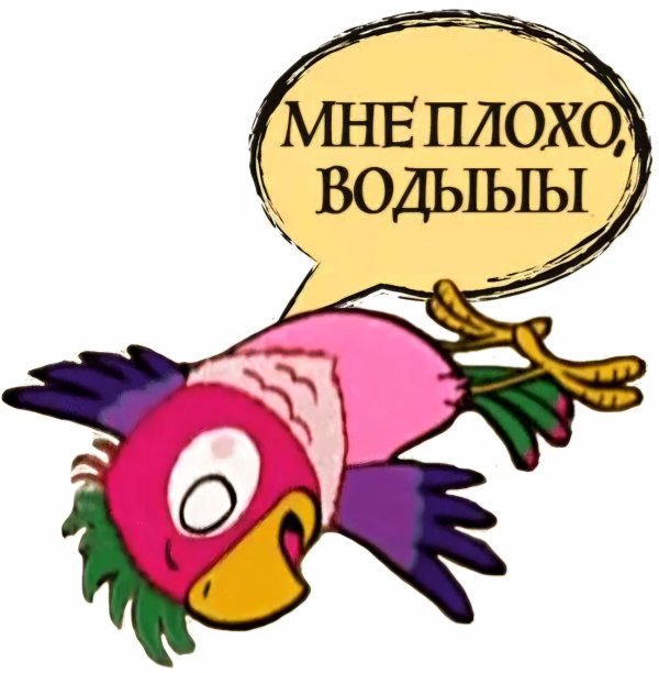 попугаев кеша