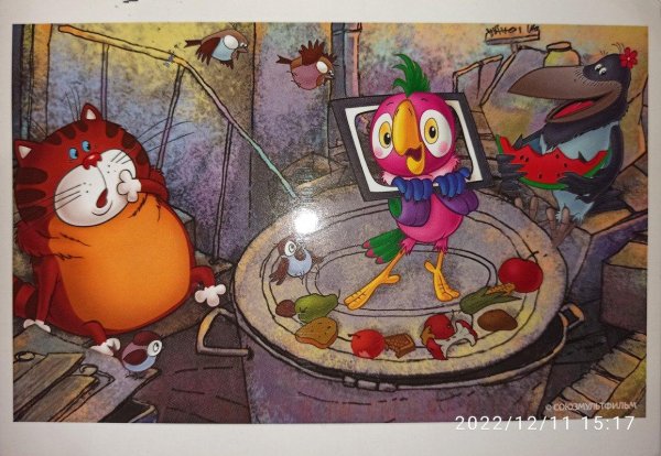 возвращение блудного попугая