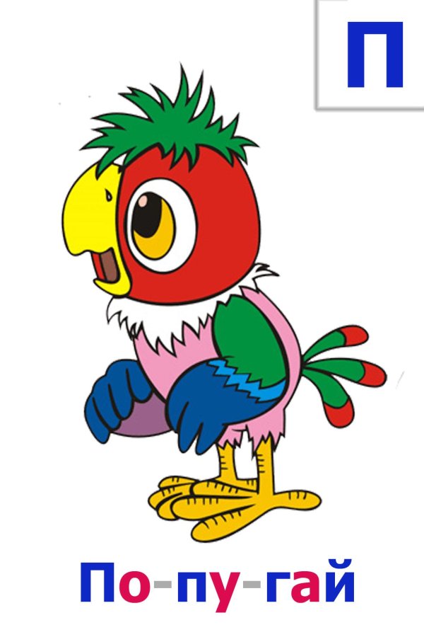 попугай кеша персонажи