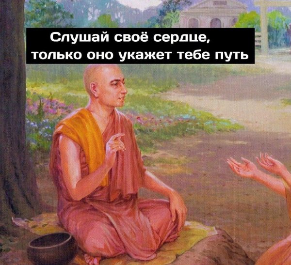 слушай свое сердце оно укажет путь