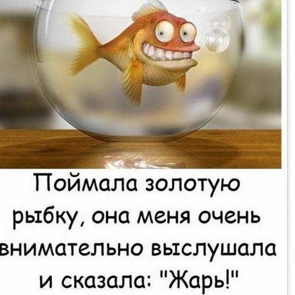 золотой рыбки