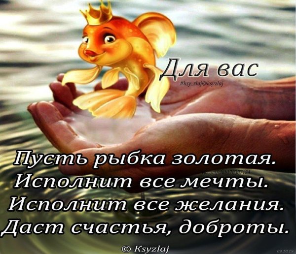 поймай золотую рыбку