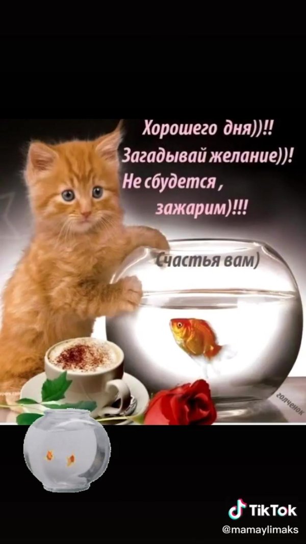 удачного дня