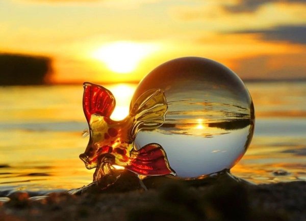 загадаем желания