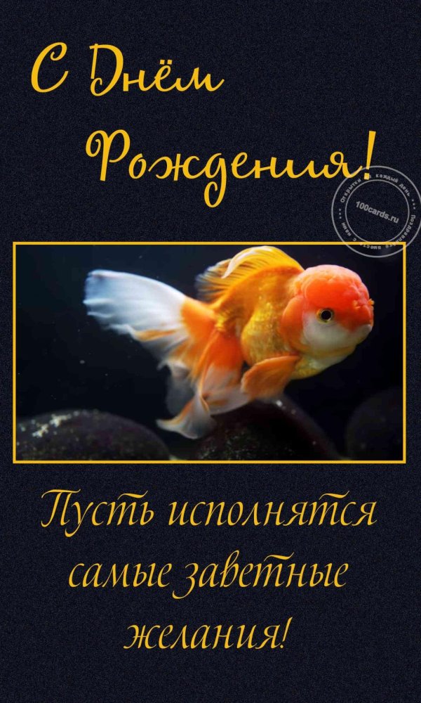 золотая рыбка