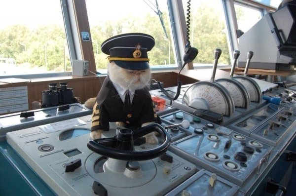 кот на теплоходе николай чернышевский